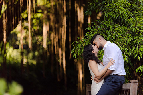 Joseph and Ria Elopement Shoot